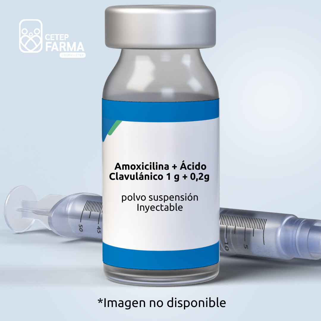 Amoxicilina + Ácido Clavulánico 1 g / 0,2g Polvo Suspensión Inyectable