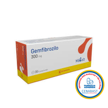 GEMFIBROZILO COMP 300 MG X 30 U MLB CENABAST
